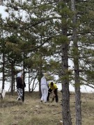 Reforestation and Cleanup Initiative on Divčibare Mountain - Yettel - 2024