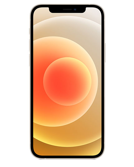 iPhone 12 Series